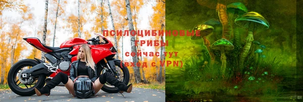 марки nbome Белокуриха