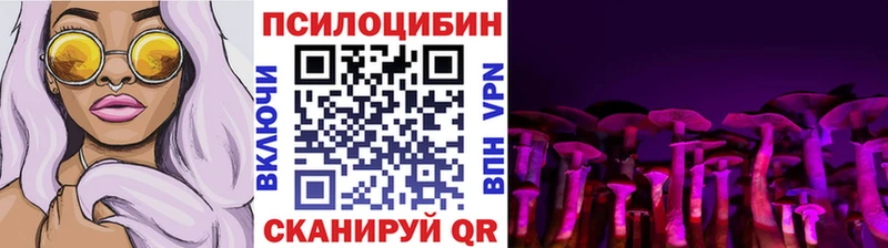 Псилоцибиновые грибы мицелий  ОМГ ОМГ маркетплейс  Демидов  цены  